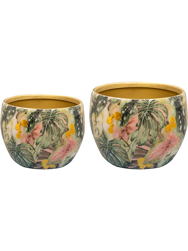 Designed By Lammie Plant Pot 7cm Dia Pot Monstera Mystery (set of 2)