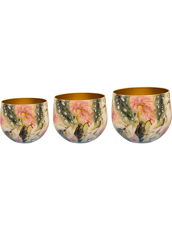 Designed By Lammie Plant Pot 17cm Dia Pot Monstera Mystery (set of 3)