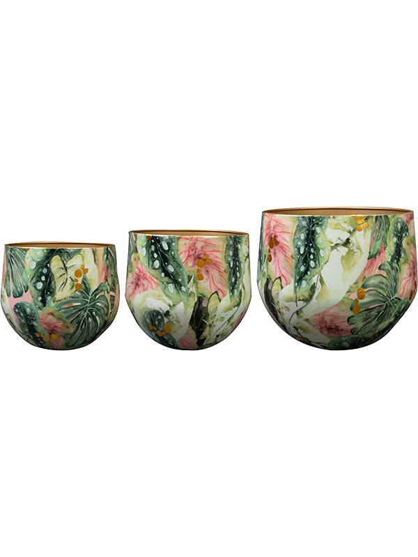 Designed By Lammie Plant Pot 28cm Dia Pot Monstera Mystery (set of 3)