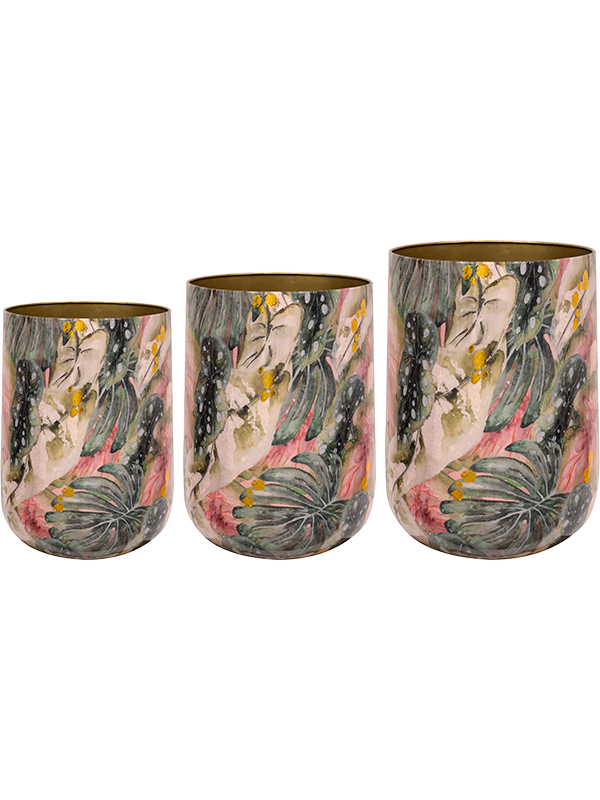 Designed By Lammie Plant Pot 78cm Dia Pot Monstera Mystery (set of 3)