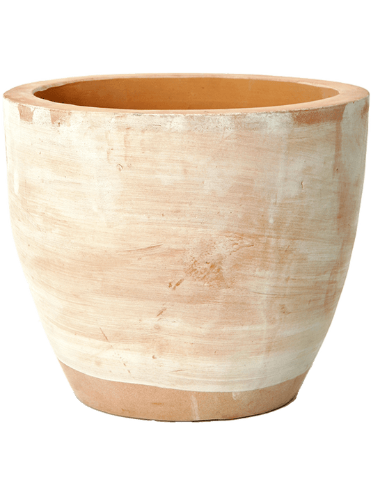 Terra Cotta Plant Pot 26cm Height 24cm Dia Couple Extra