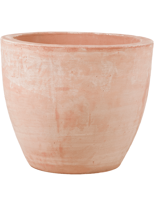 Terra Cotta Plant Pot 33cm Height 32cm Dia Couple Extra