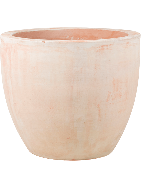 Terra Cotta Plant Pot 49cm Height 47cm Dia Couple Extra