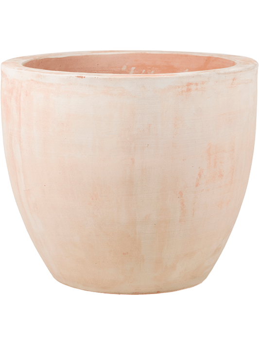 Terra Cotta Plant Pot 49cm Height 47cm Dia Couple Extra