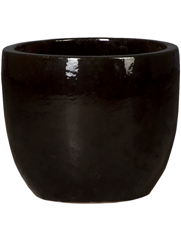 Plain Plant Pot 34cm Height 31cm Dia Couple Black Shiny