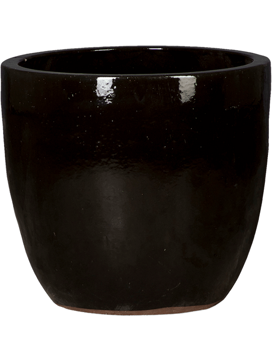 Plain Plant Pot 49cm Height 45cm Dia Couple Black Shiny