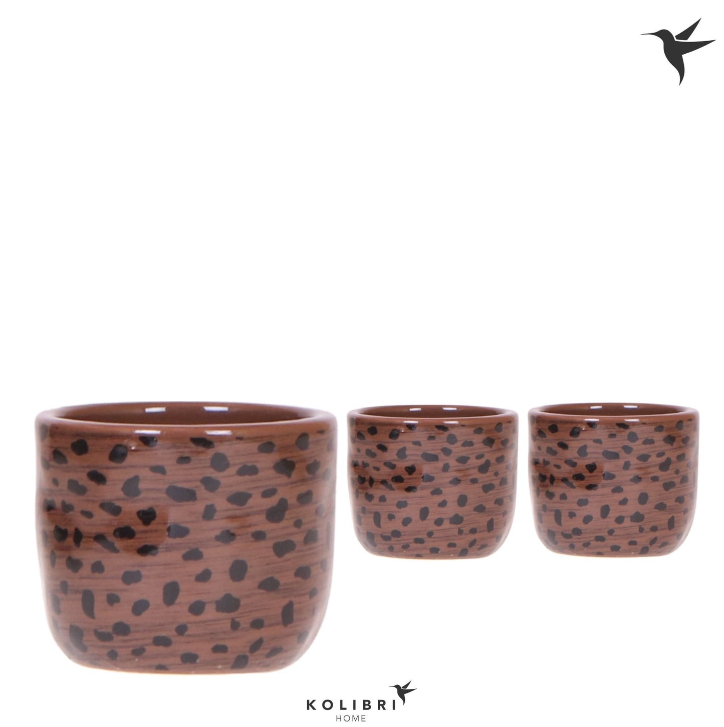 OK Plant Kolibri Home Leopard pot Pack of 12