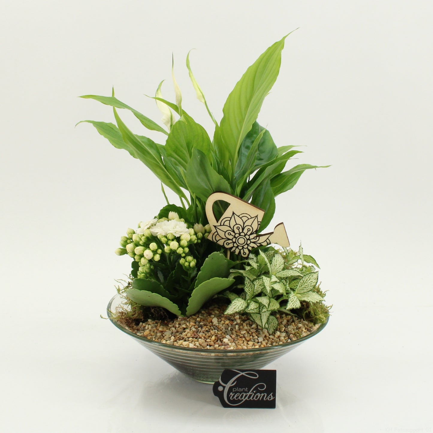 FDCR-2602W Basic Fundamentals 35cm 25cm Pot
