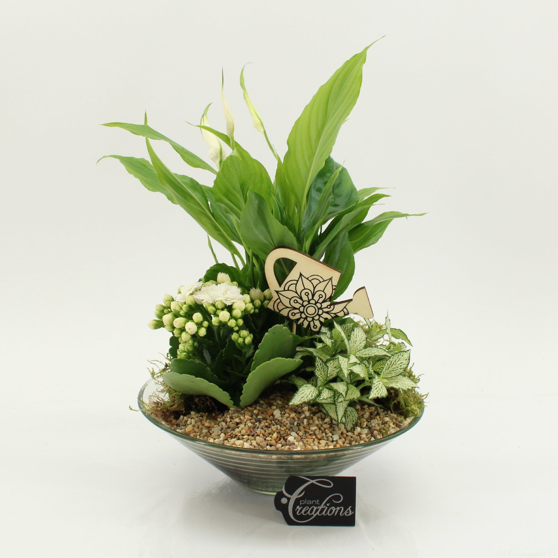 FDCR-2602W Basic Fundamentals 35cm 25cm Pot