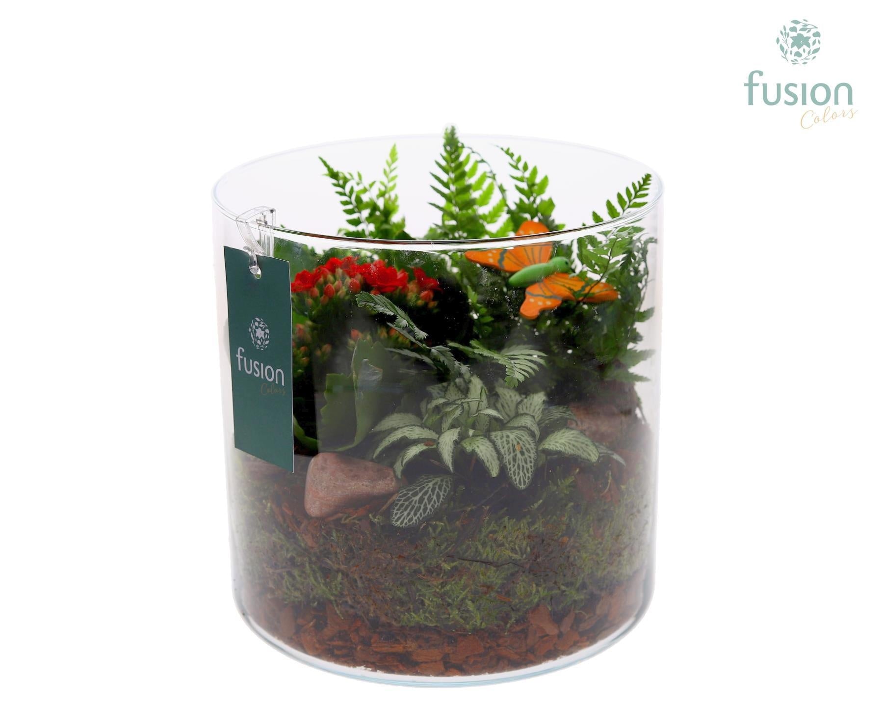 Fusioncolors BV Glas Cilinder Lucille groot met Arrangement 3pp Pack of 2