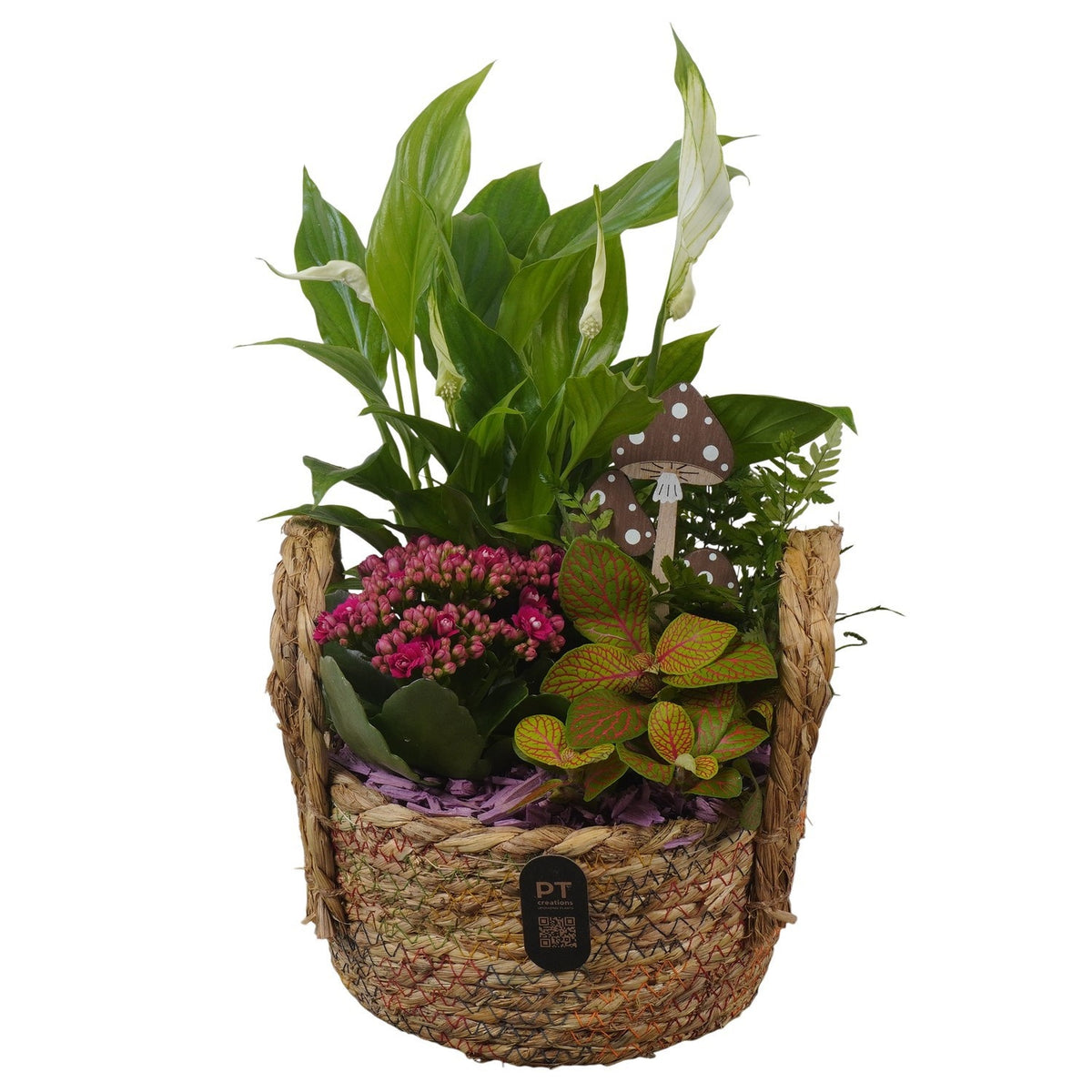 Indoor arrangement 33cm 19cm Pot