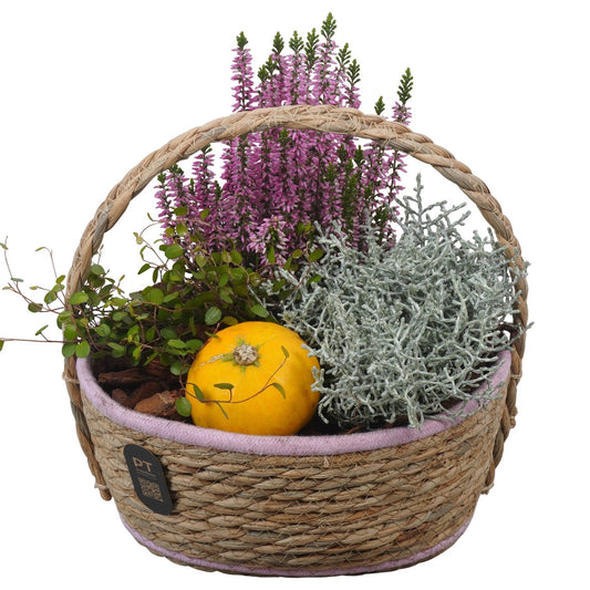 Outdoor arrangement 29cm 24cm Pot