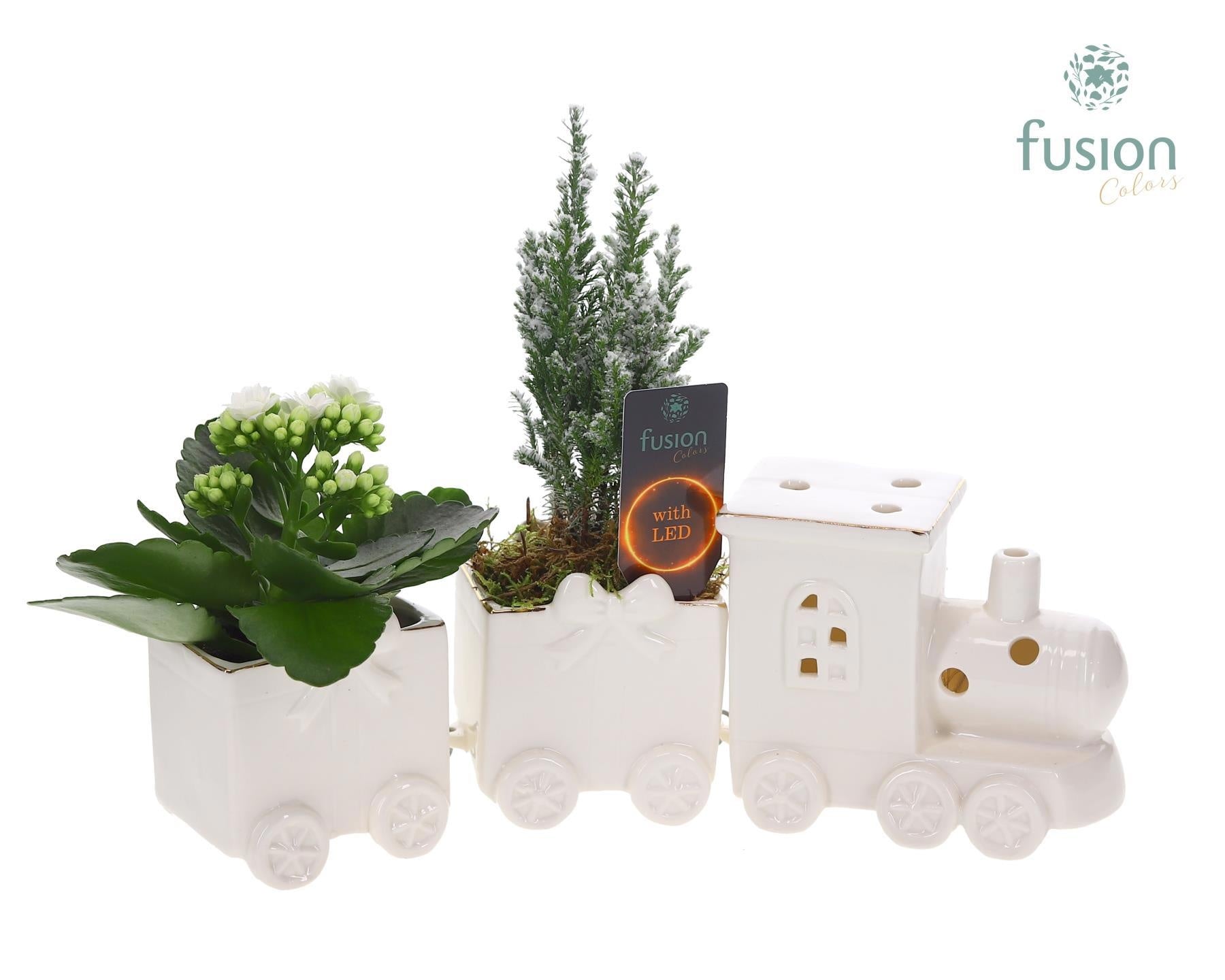 Keramiek LED Trein Medium met Arrangement 20cm 34cm Pot