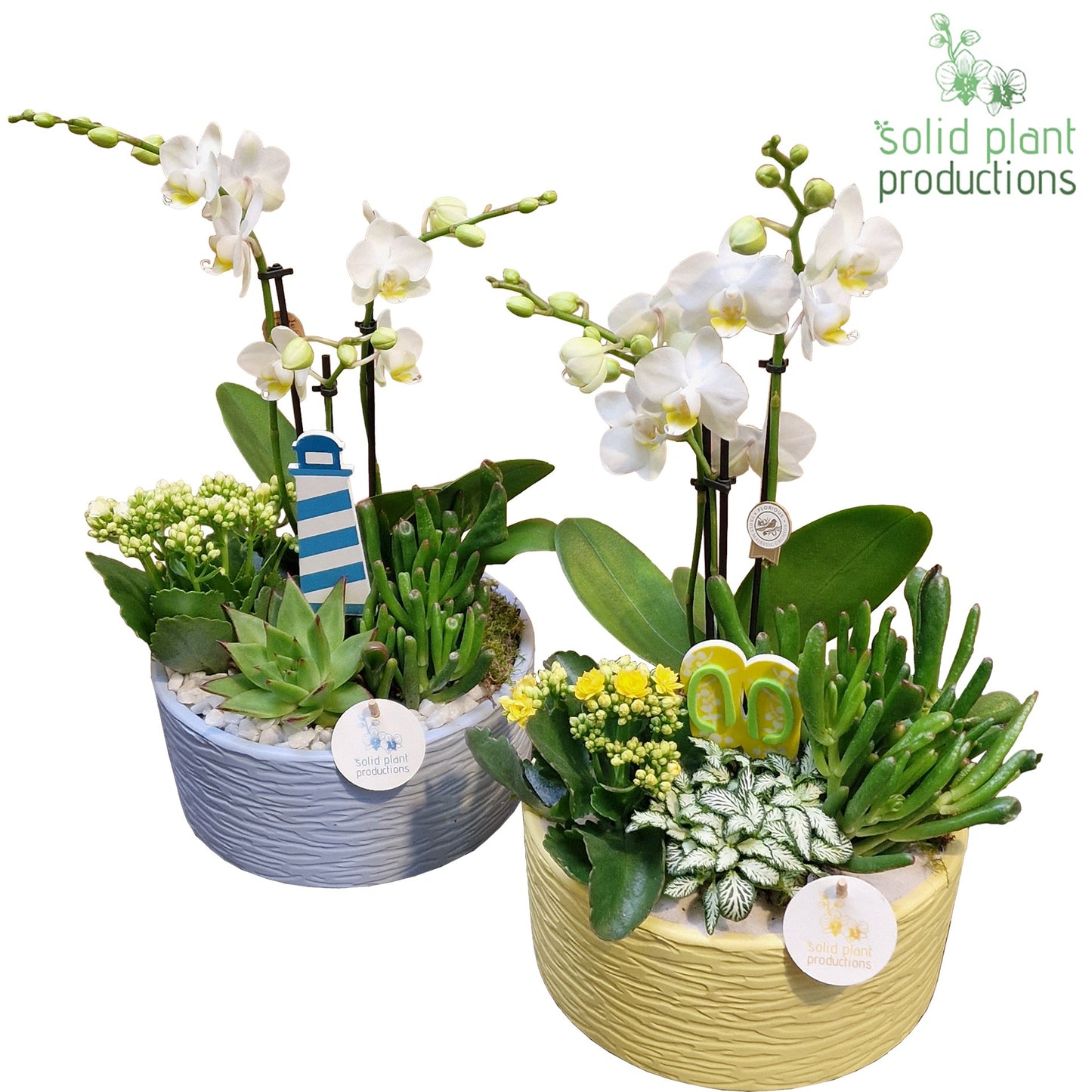 PH004 Stella B/Y Summer Mix 45cm 22cm Pot