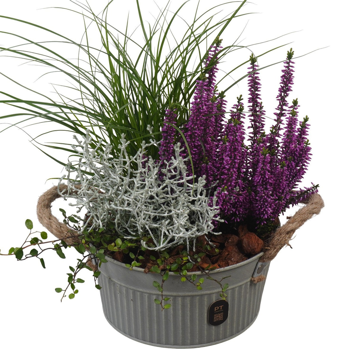Outdoor arrangement 34cm 19cm Pot