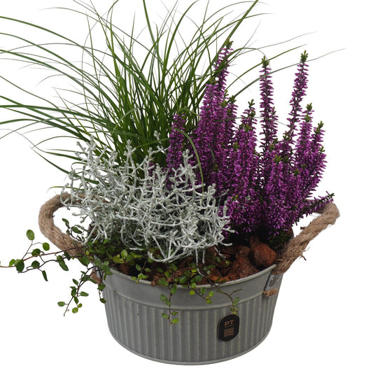 Outdoor arrangement 34cm 19cm Pot
