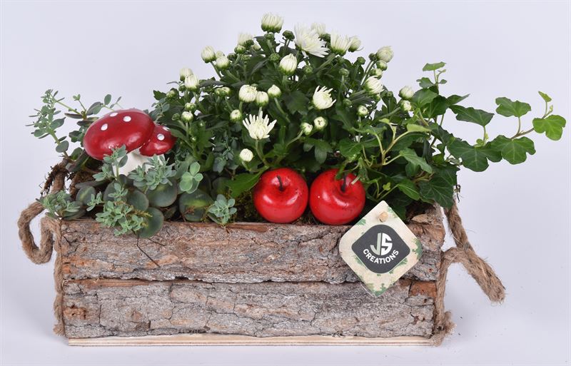 Outdoor arrangement 26cm Pot