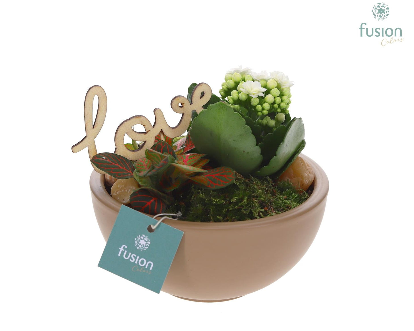 Schaal keramiek Moon Small beige Love met arrangement 20cm 15cm Pot