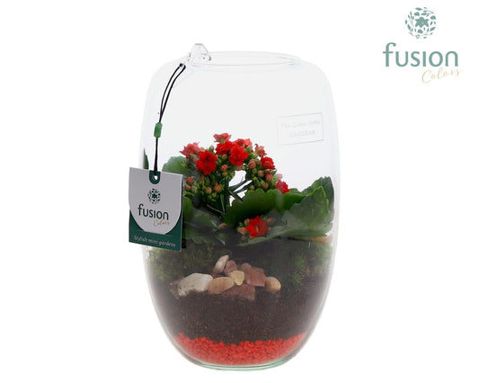 Green Bottle Love, Isabella Small met Kalancho D15 25cm 15cm Pot