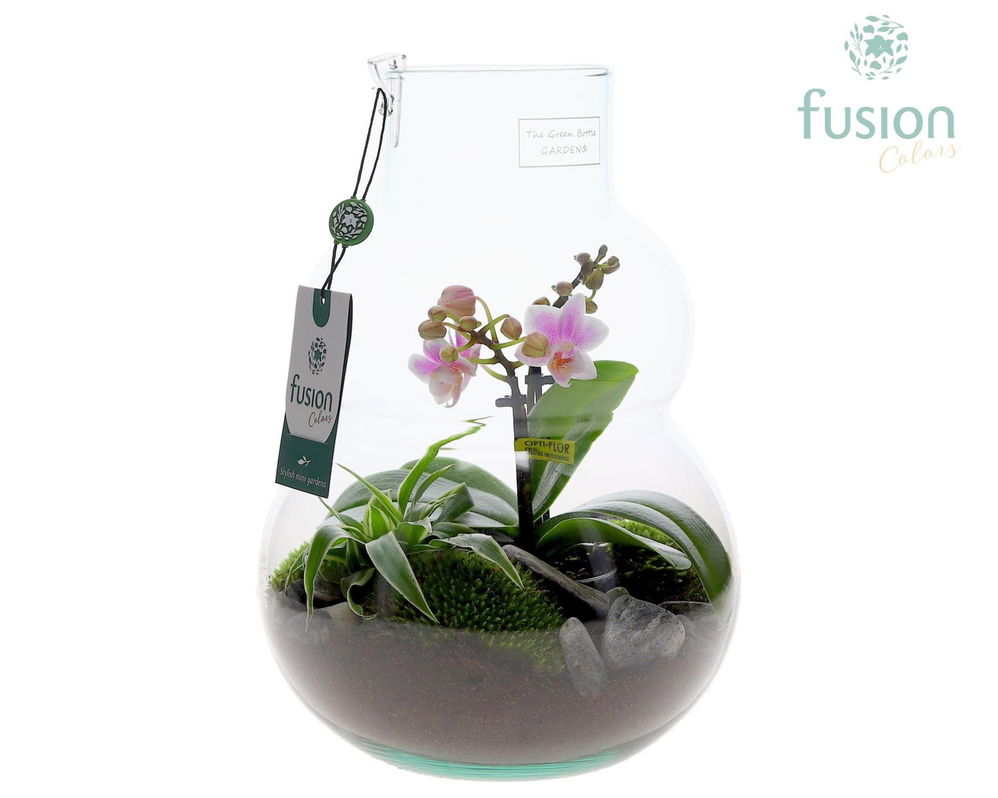 Green Bottle Olaf Medium met Phalaenopsis arrangement 29cm 21cm Pot