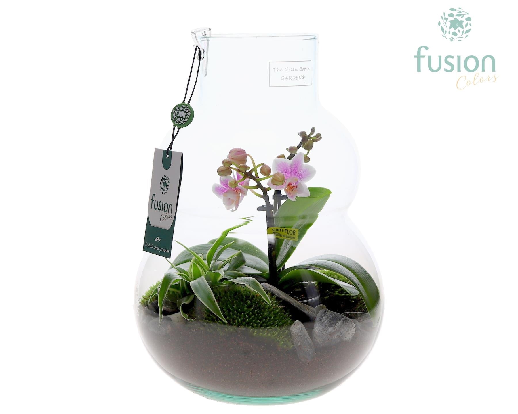 Green Bottle Olaf Medium met Phalaenopsis arrangement 29cm 21cm Pot