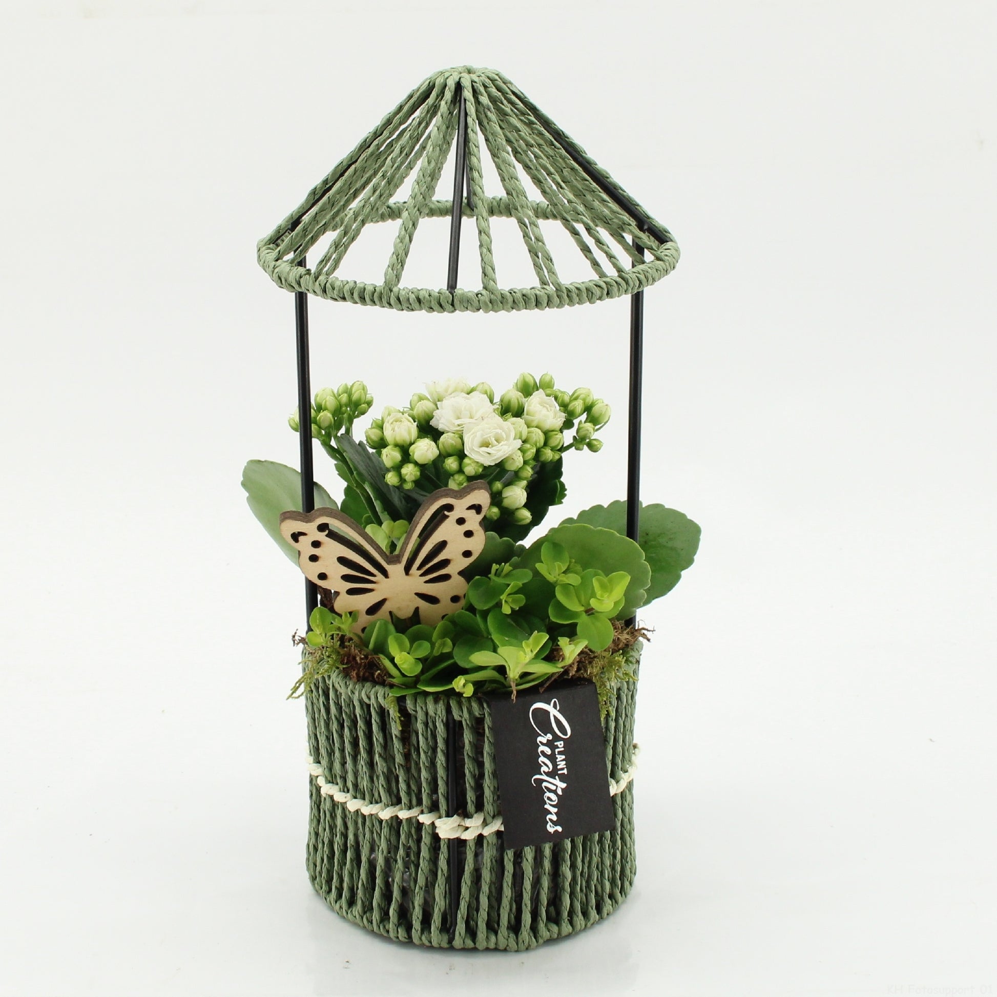 ESCR-2616W Essentials 30cm 12cm Pot