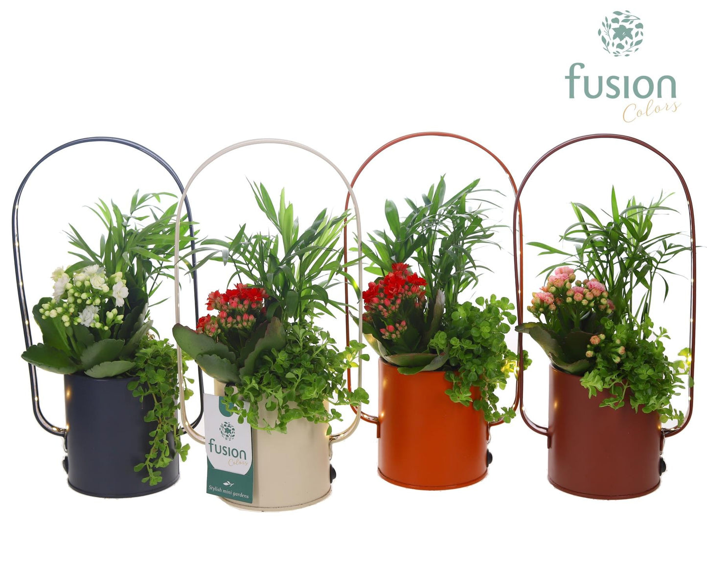 Fusioncolors BV Zinken LED planter boog met arrangement 3pp Pack of 9