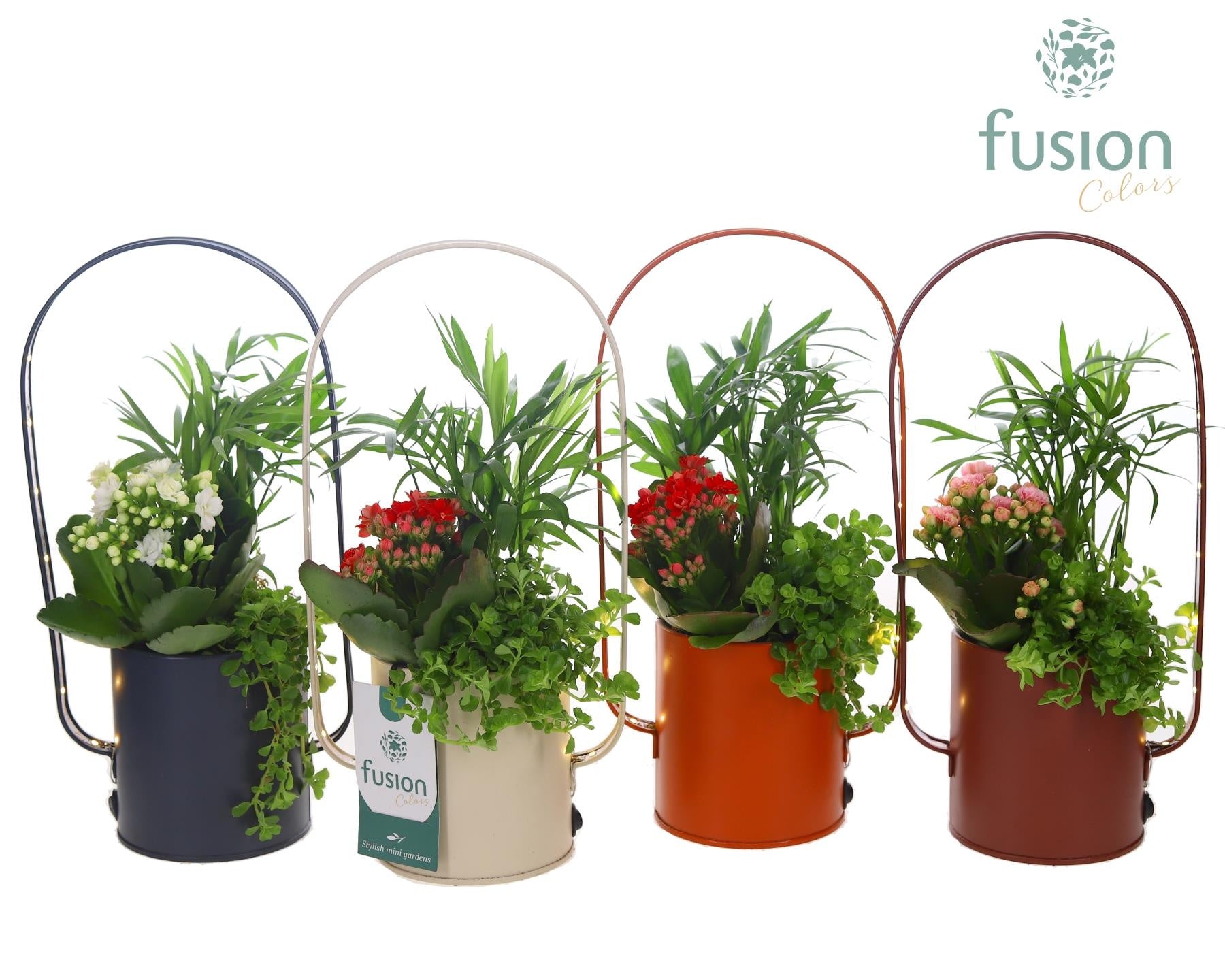 Fusioncolors BV Zinken LED planter boog met arrangement 3pp Pack of 9