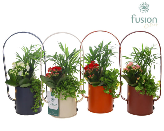 Zinken LED planter boog met arrangement 3pp 29cm 9cm Pot