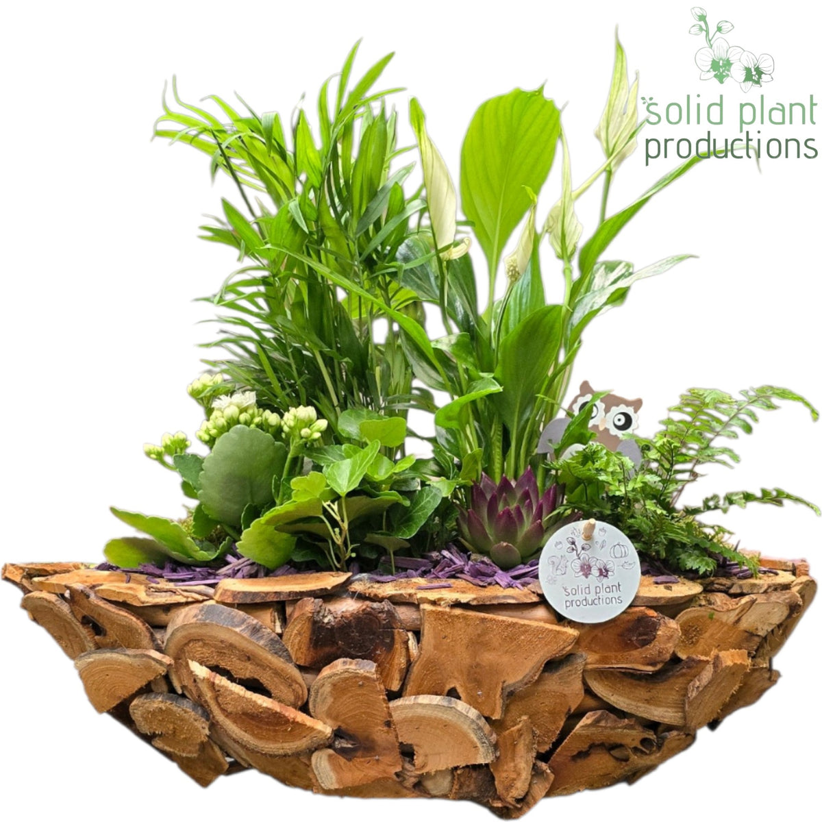 SCE012 Driftwood Boat Purple Autumn 45cm 46cm Pot