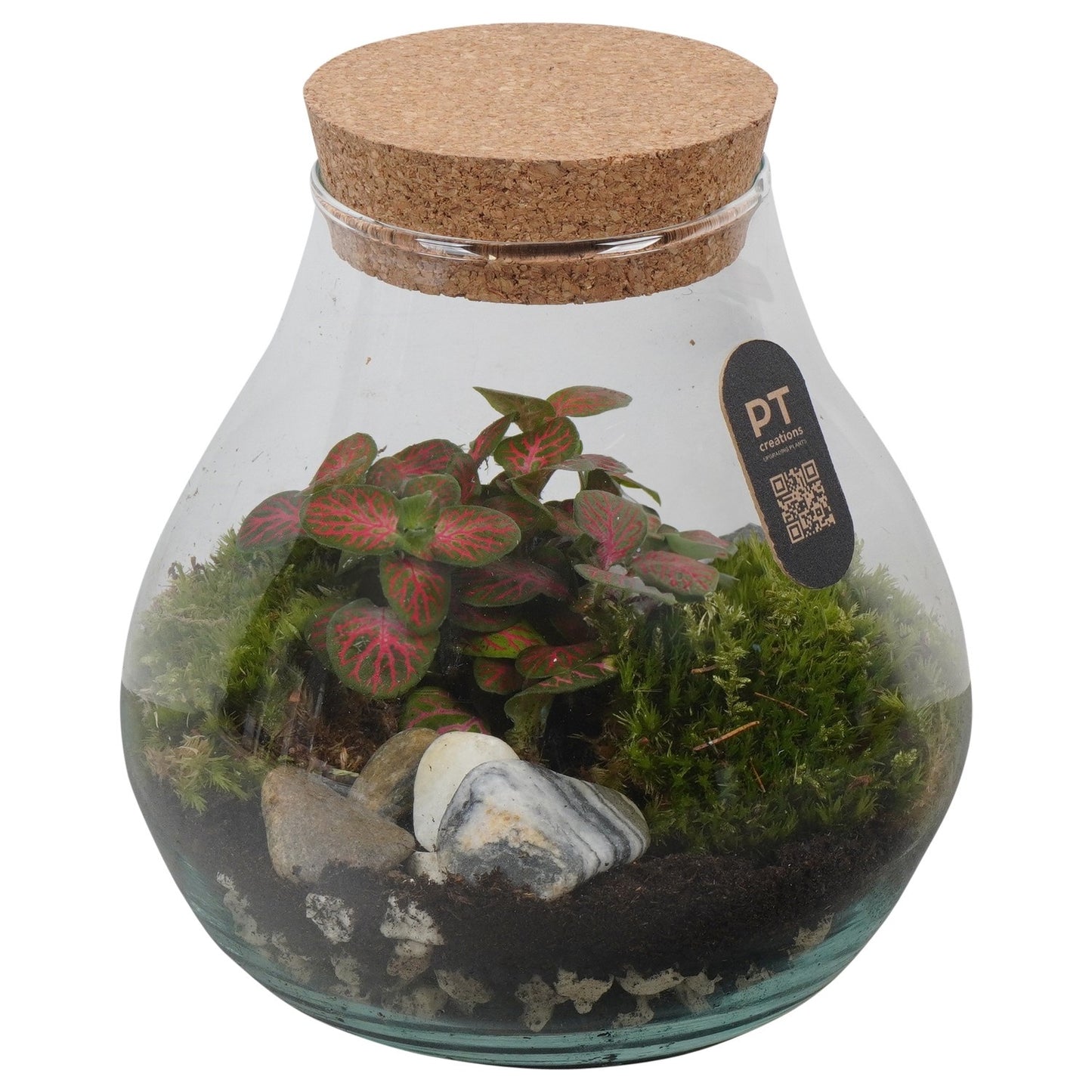 PT-Creations BV Indoor green arrangement Pack of 4
