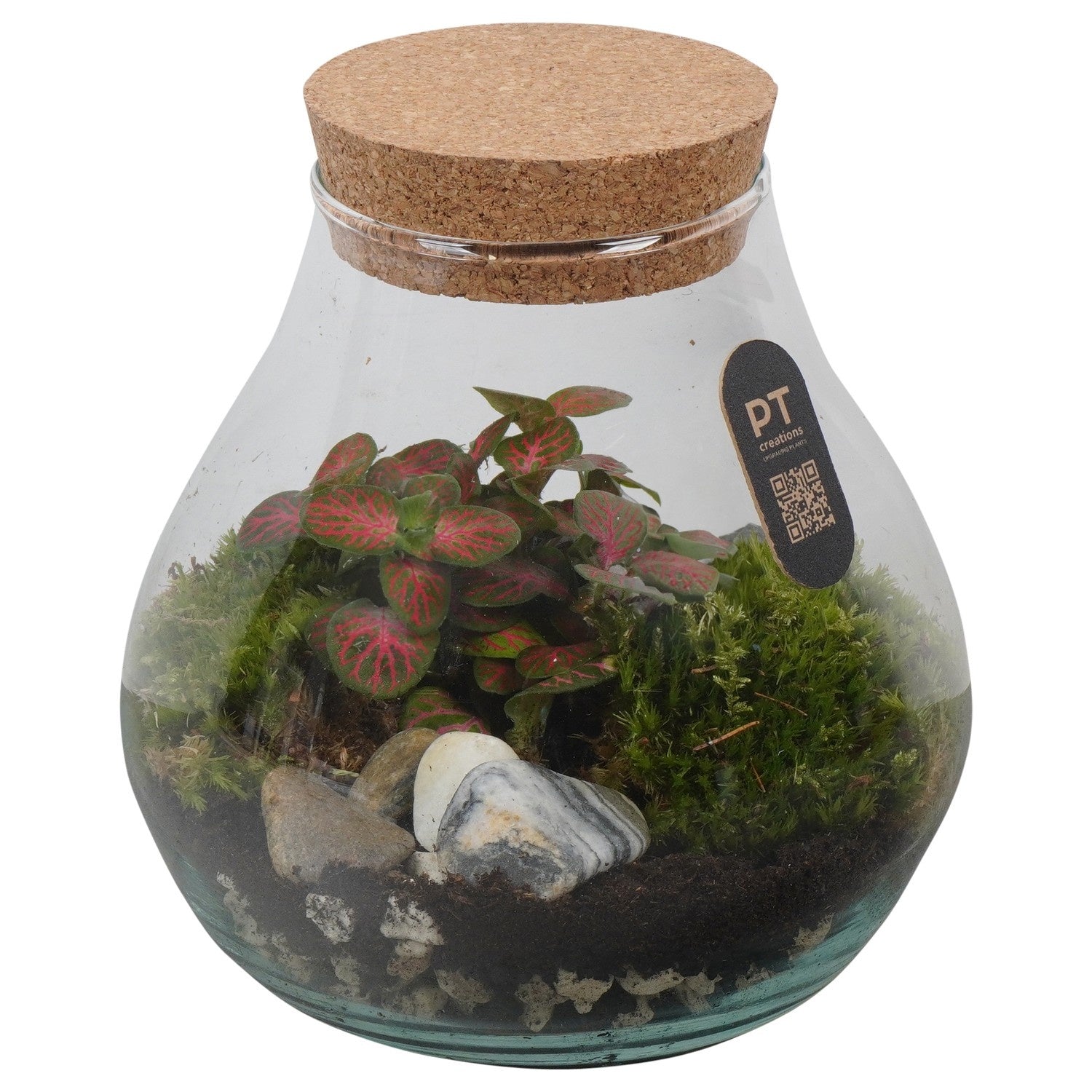 PT-Creations BV Indoor green arrangement Pack of 4