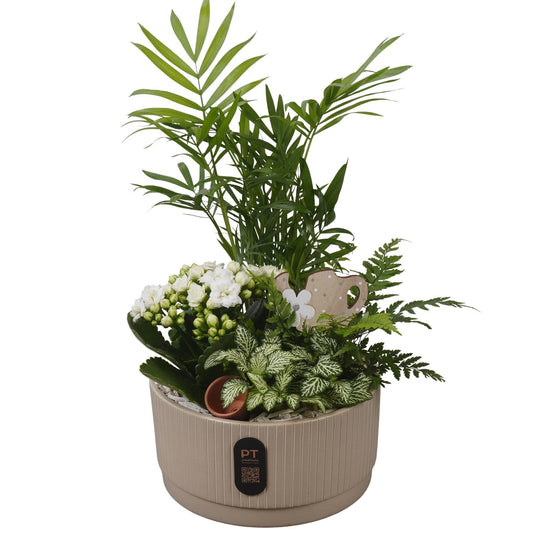 Indoor arrangement 39cm 19cm Pot