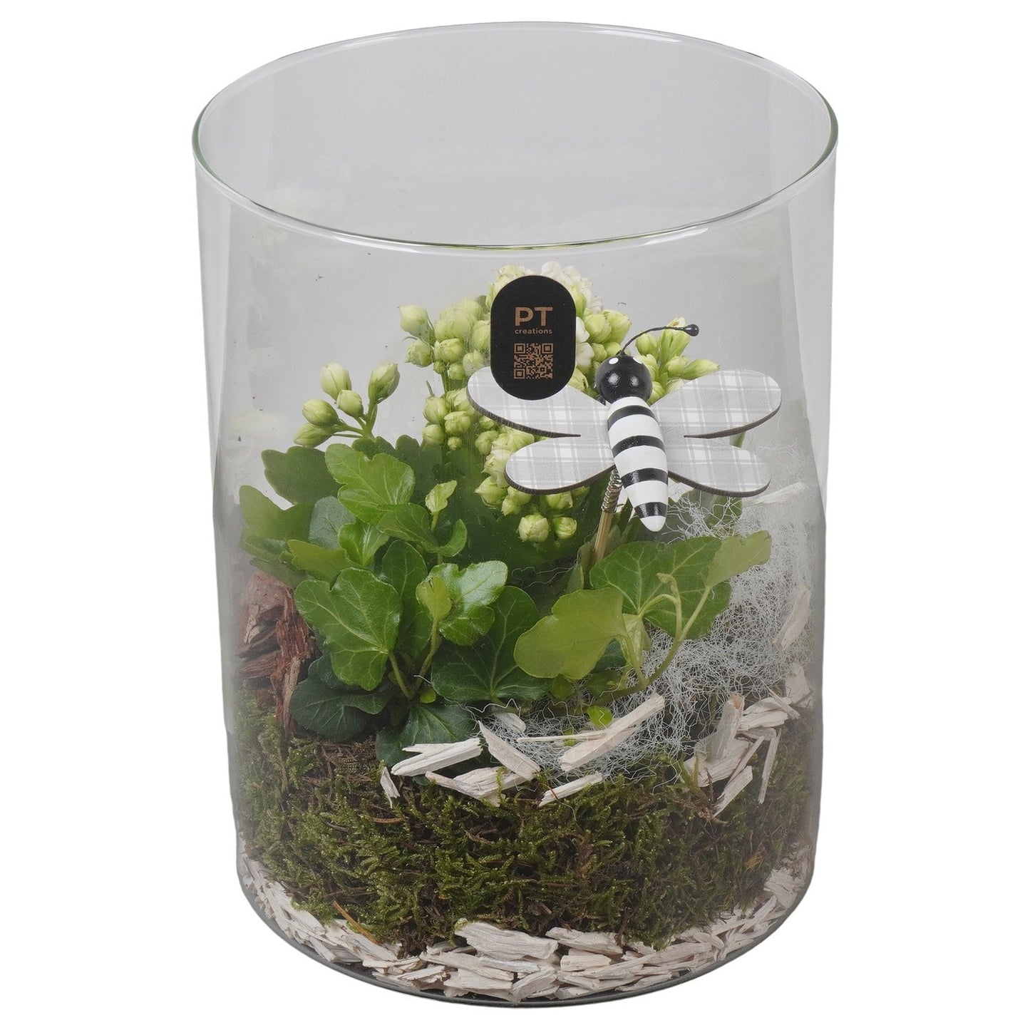 Indoor arrangement 20cm 15cm Pot