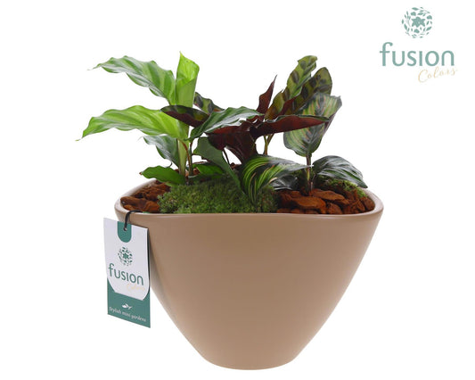 Pot keramiek ovaal Large beige met arrangement 25cm 23cm Pot