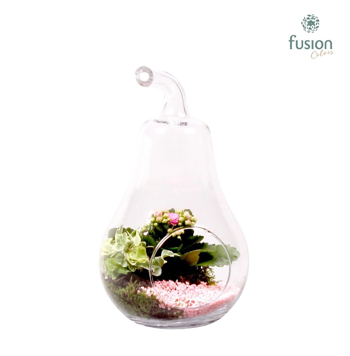 Fusioncolors BV Glas Peer met Arrangement D17 H30 Pack of 2