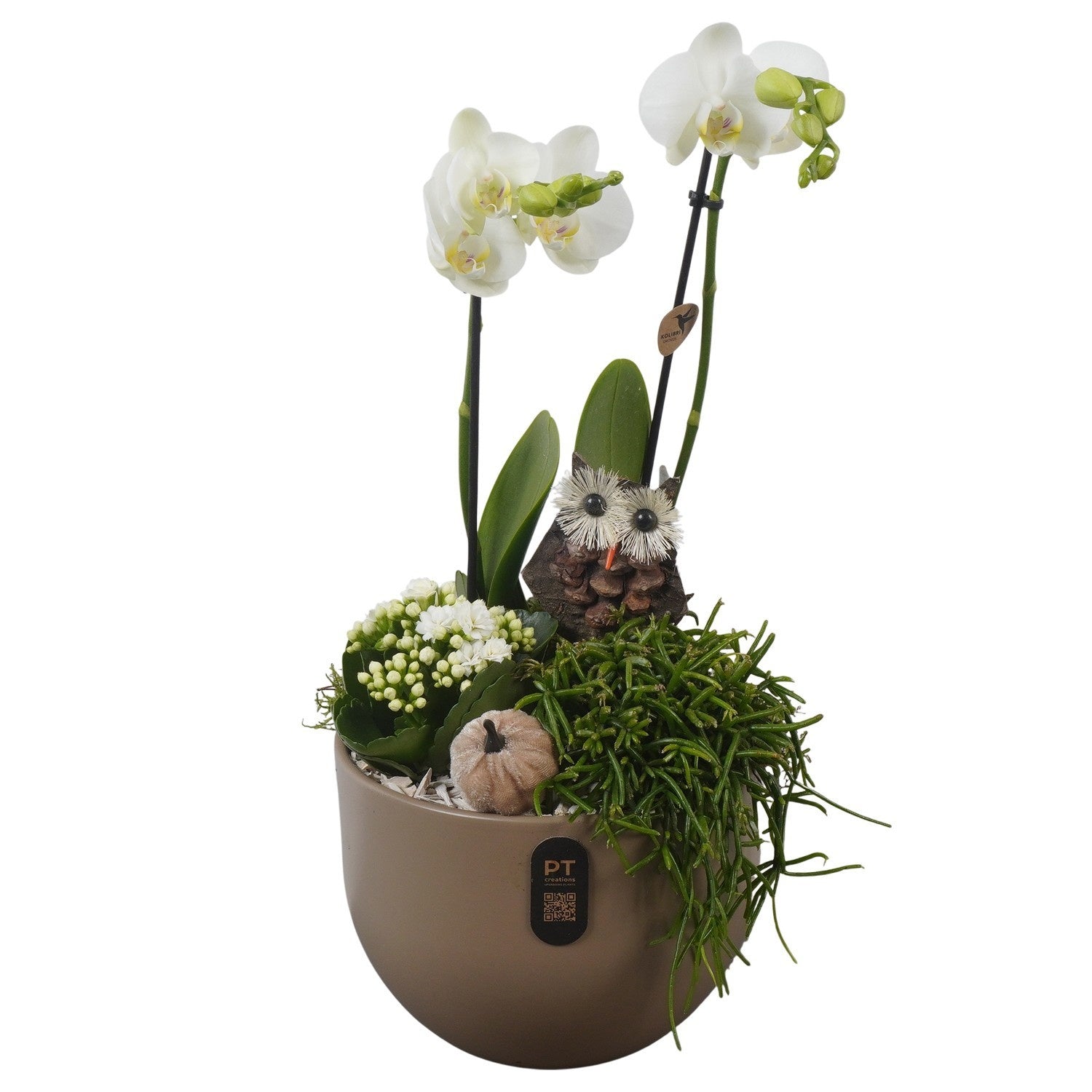 Indoor arrangement 46cm 19cm Pot