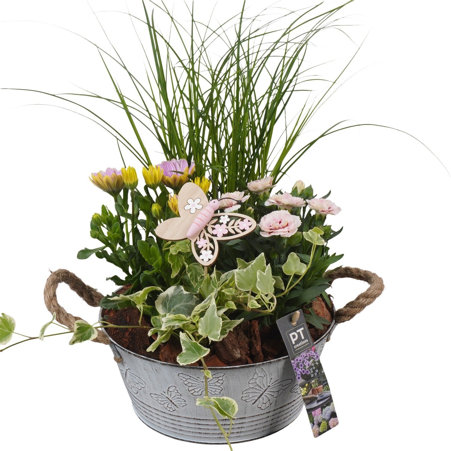 Outdoor arrangement 43cm 23cm Pot