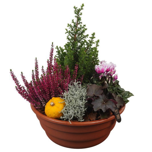 Outdoor arrangement 44cm 32cm Pot