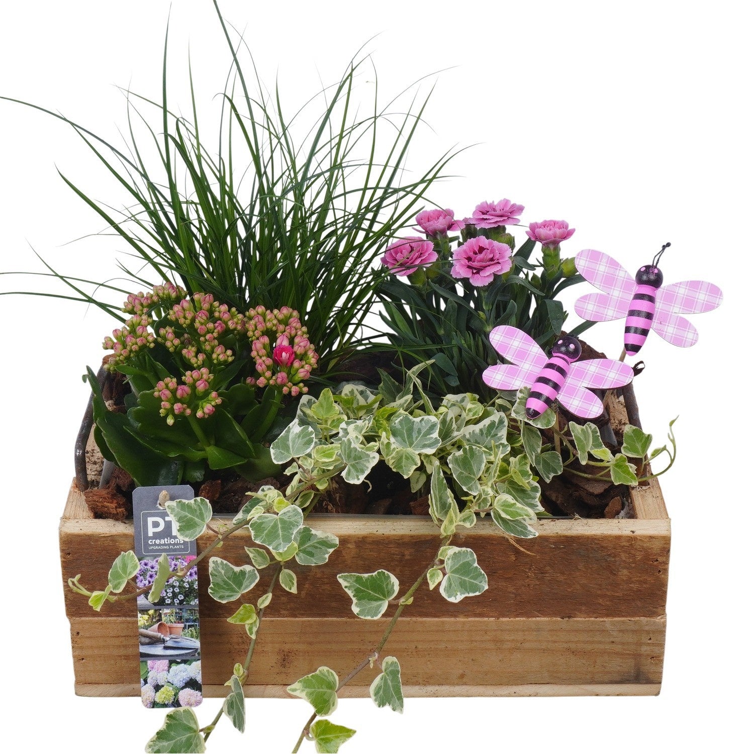 arr. PM196 34cm 30cm Pot