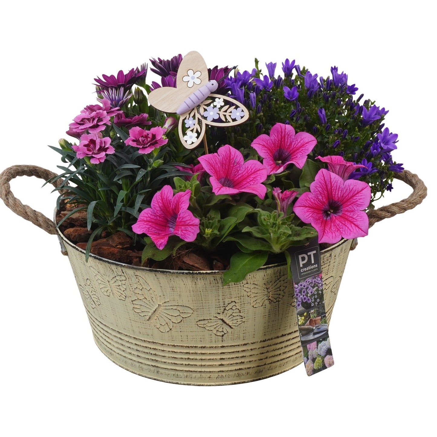 arr. PM196 26cm 27cm Pot