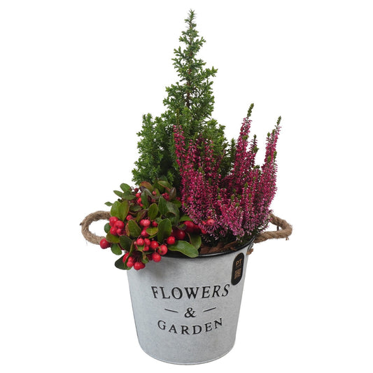 Outdoor arrangement 50cm 20cm Pot