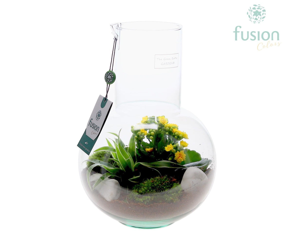 Green Bottle Suzanne Medium met arrangement 29cm 21cm Pot