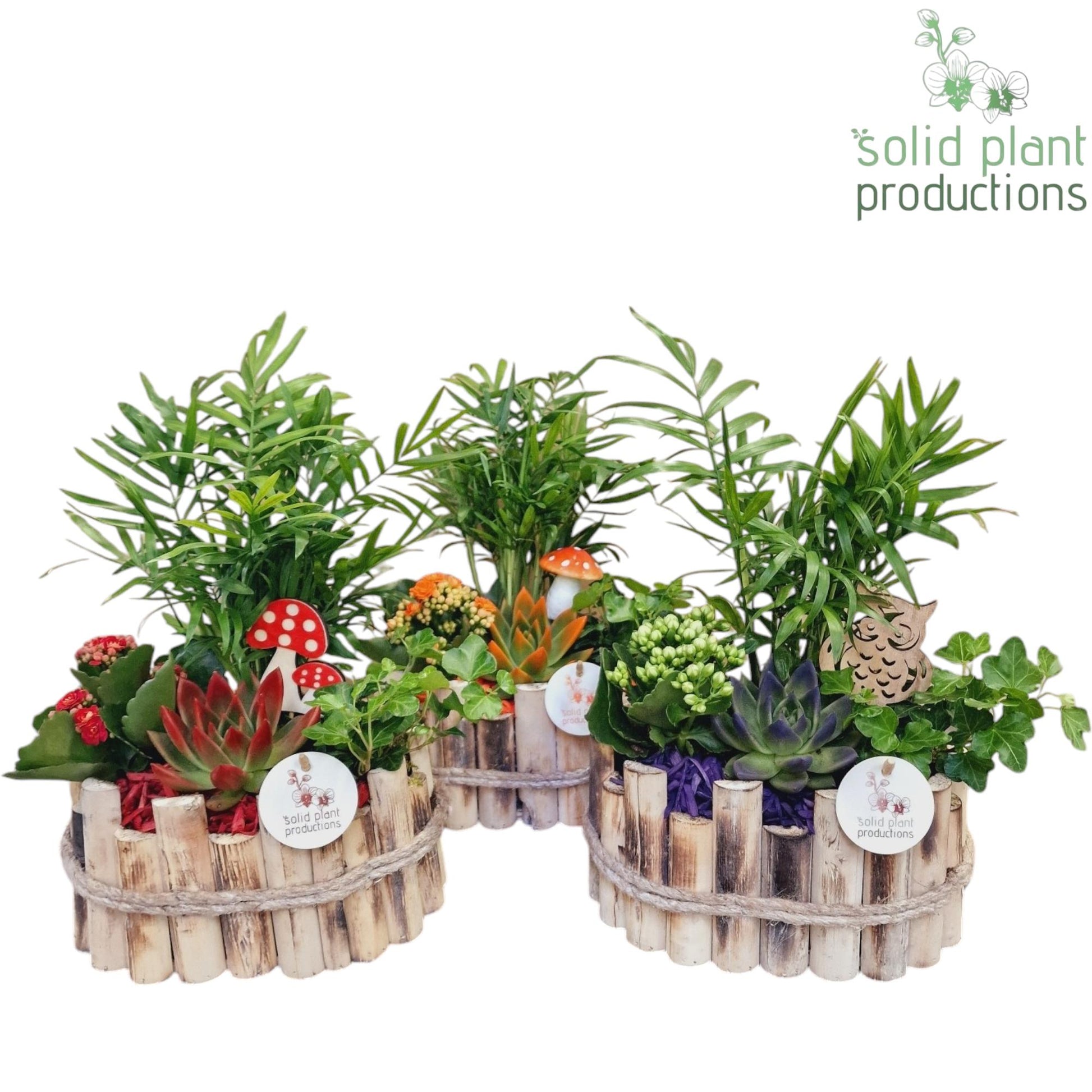 HCE003 Bologna Small Autumn Mix 35cm 23cm Pot