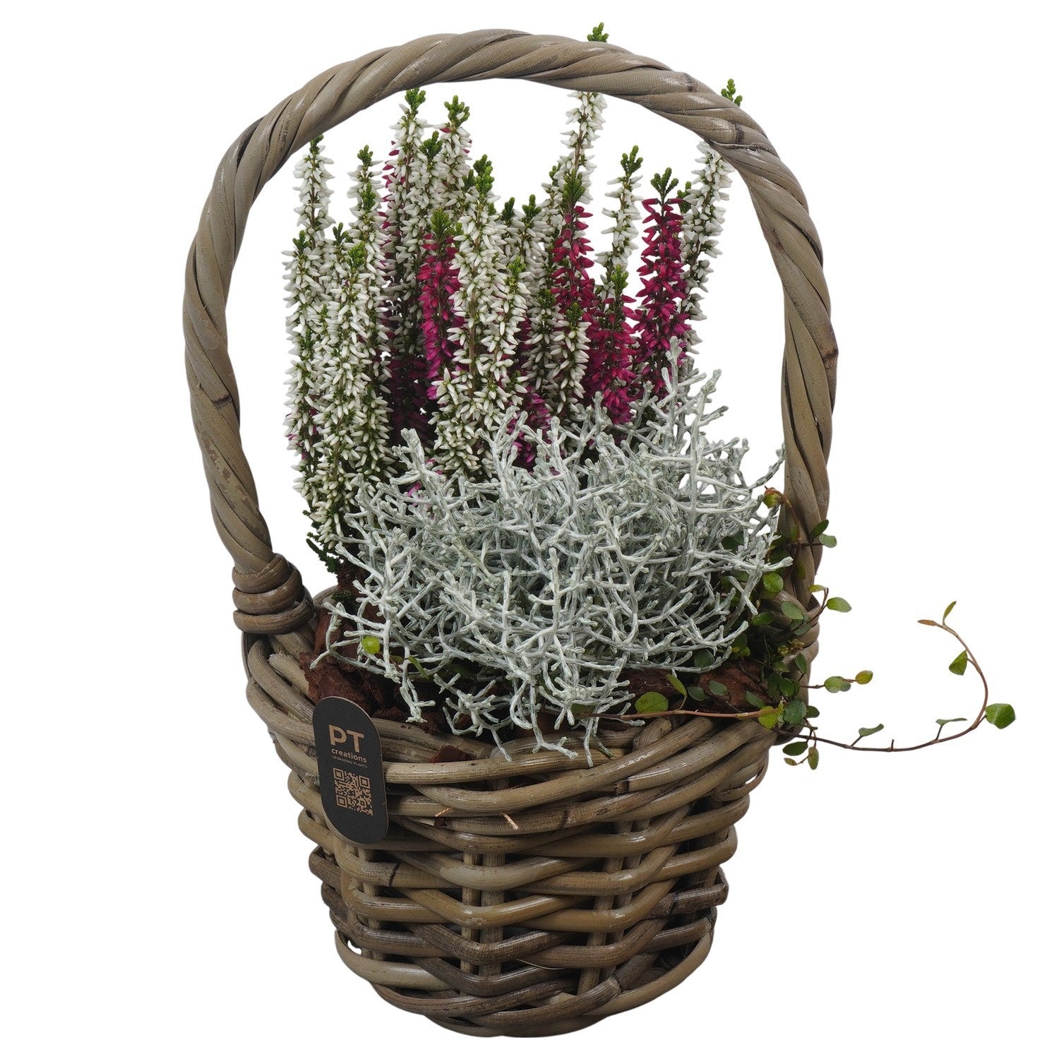 Outdoor arrangement 31cm 16cm Pot