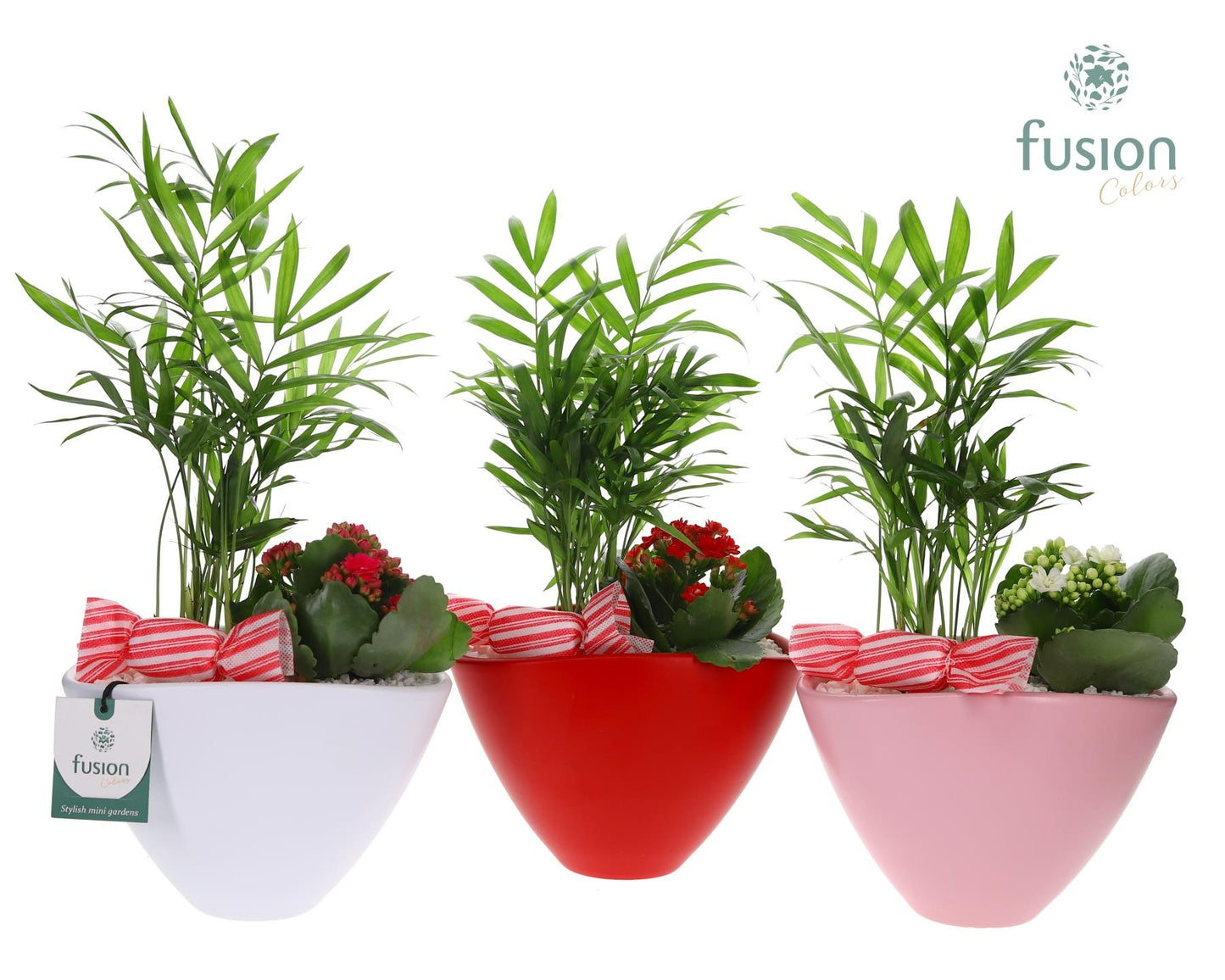 Pot keramiek ovaal Medium met Arrangement 35cm 18cm Pot