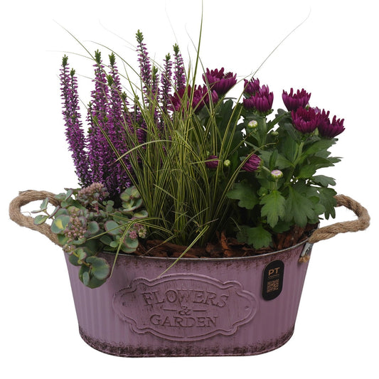 Outdoor arrangement 40cm 28cm Pot