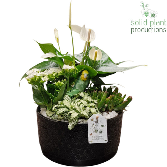 AT004 Stella Black 42cm 22cm Pot