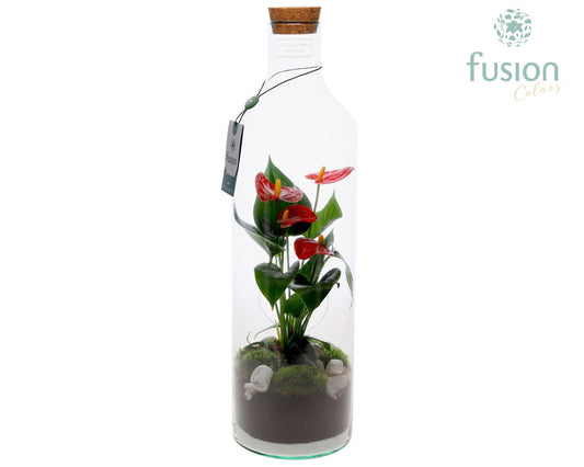 Green Bottle Fles Large met Anthurium 55cm 15cm Pot