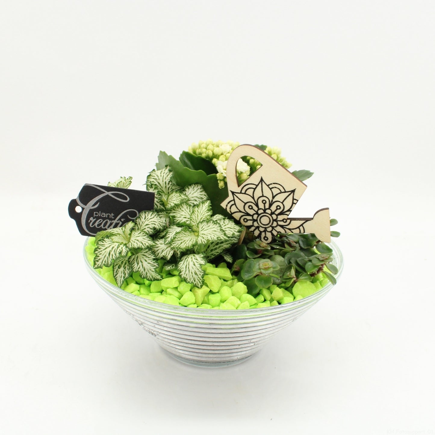 FDCR-2601GR Basic Fundamentals 20cm 20cm Pot